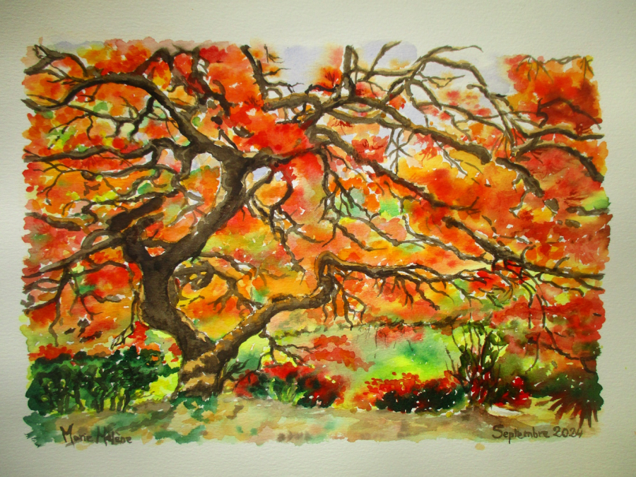 Nuances d'automne